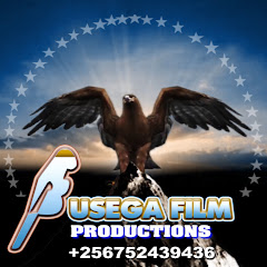 Busega Films Production net worth