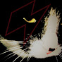 Darkbeats and the cat logo