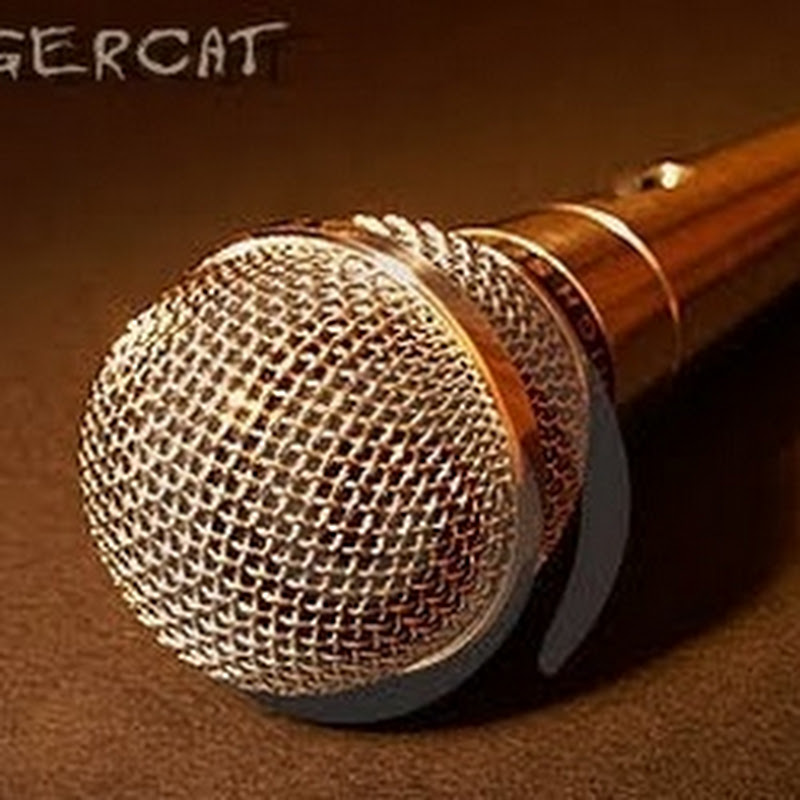 MrSingercat