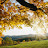 @dianegalloway5388 Avatar