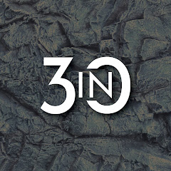 3in30