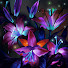 V0I6IzX4G1s-channel-avatar-Midnight Bloom