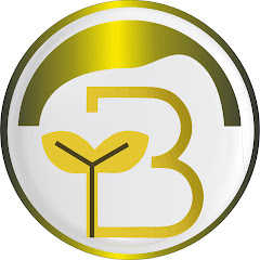 Bilim ve Yaratılış