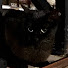 fT_VD9smpiE-channel-avatar-R hiro
