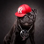 山口栄蔵（DJ-EIZO）