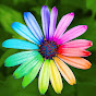 meditation music