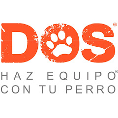 DOS adiestramiento avatar