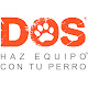 DOS adiestramiento