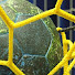 gQFLusIY5do-channel-avatar-Handball Fans