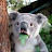 @josuygloria Avatar