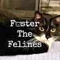 Foster The Felines logo