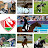 Белорусская Федерация Конного Спорта