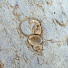 sS_wvF4v2VE-channel-avatar-Fossil Prep Blog