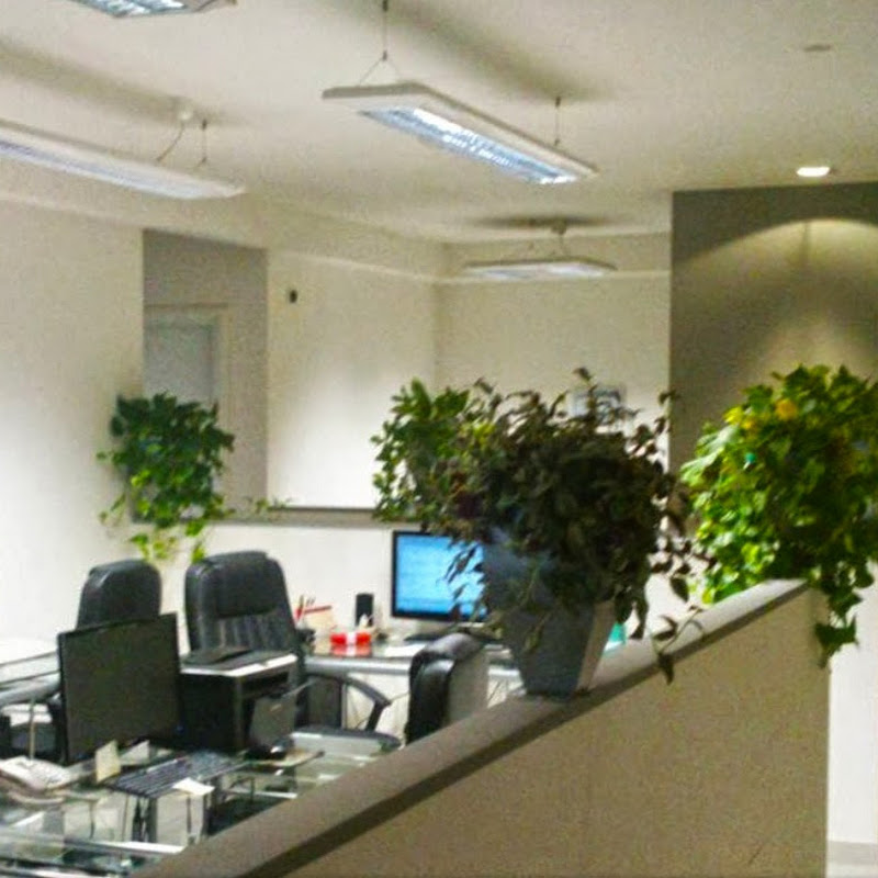 TopLevelHotel