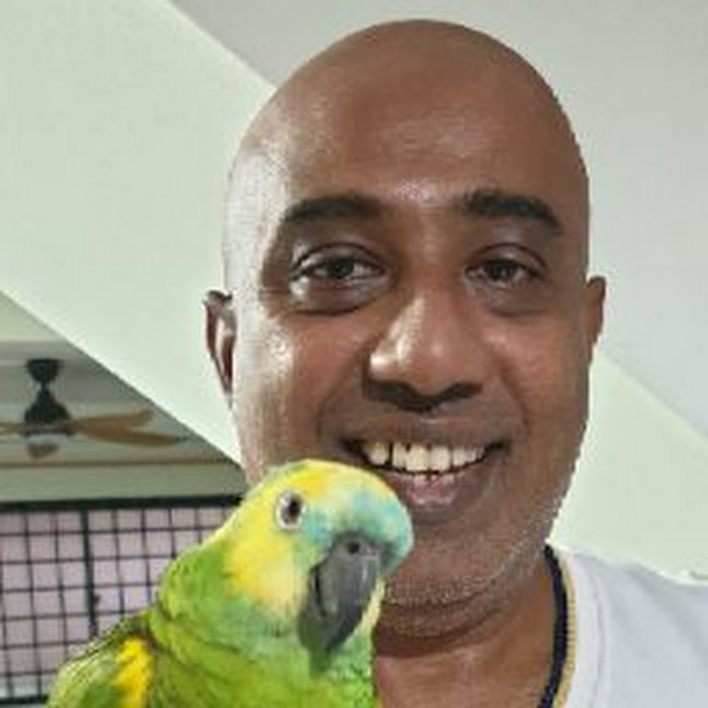 Mohamed Ismail
