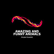 Amazing and Funny Animals