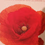 7papaverirossi