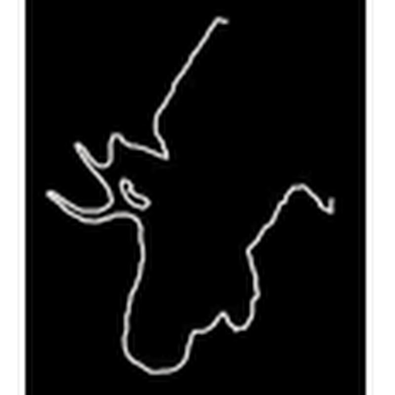 MooseDoesStuff