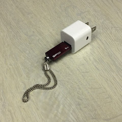 向井井