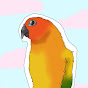 Baba the sun conure logo