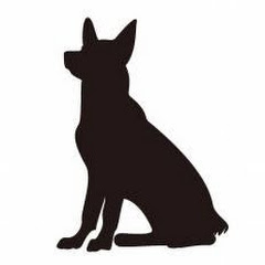 。青犬