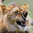 @Larsen-xn4qn's avatar