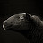 @feodorfiorina7835's avatar