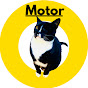 Motor The One-Eyed Cat logo