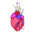 zytXay5C3p4-channel-avatar-Anatomy with Dr. RabbitHeART