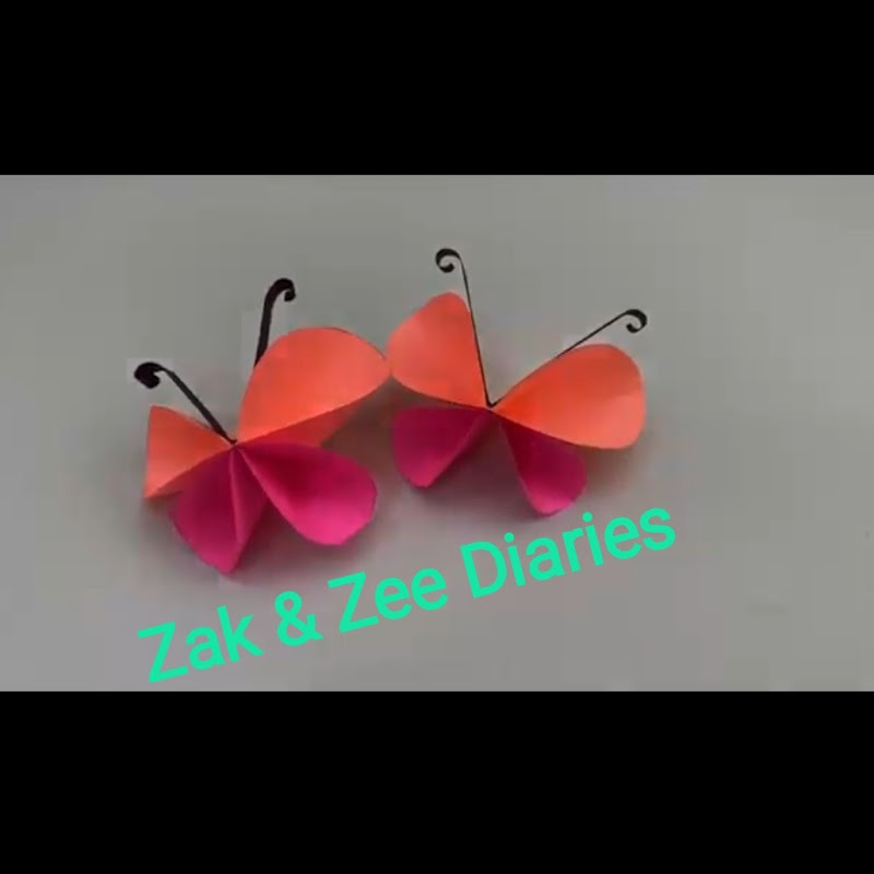 Zak & Zee Diaries