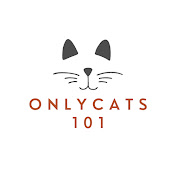 OnlyCats101