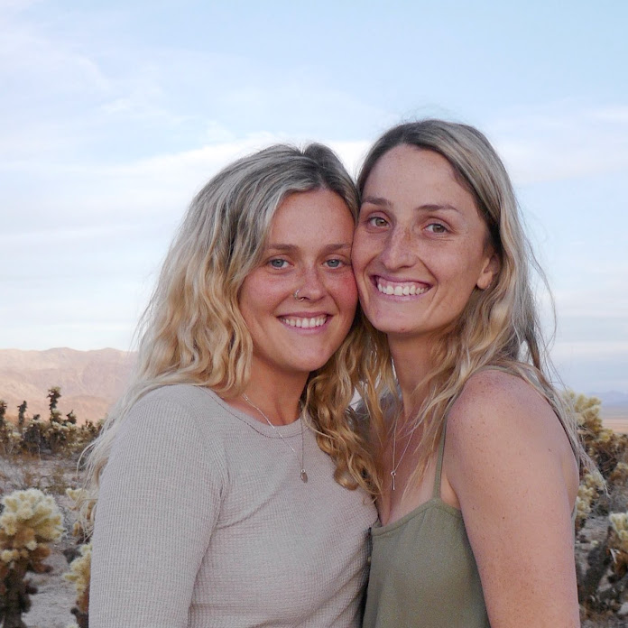 Vanwives Net Worth & Earnings (2025)