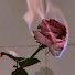 UwCJ7iFIC-k-channel-avatar-sxturn_nmoon