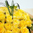 @user-qh7eu5jy9w