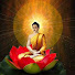_XI0MFIZmXQ-channel-avatar-The Buddha Follower