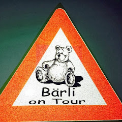 baerliontour1 channel logo