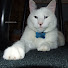 Channel Image