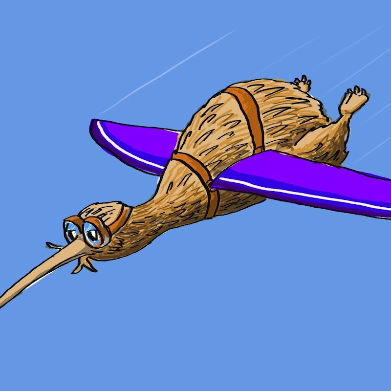 TheFlyingKiwi