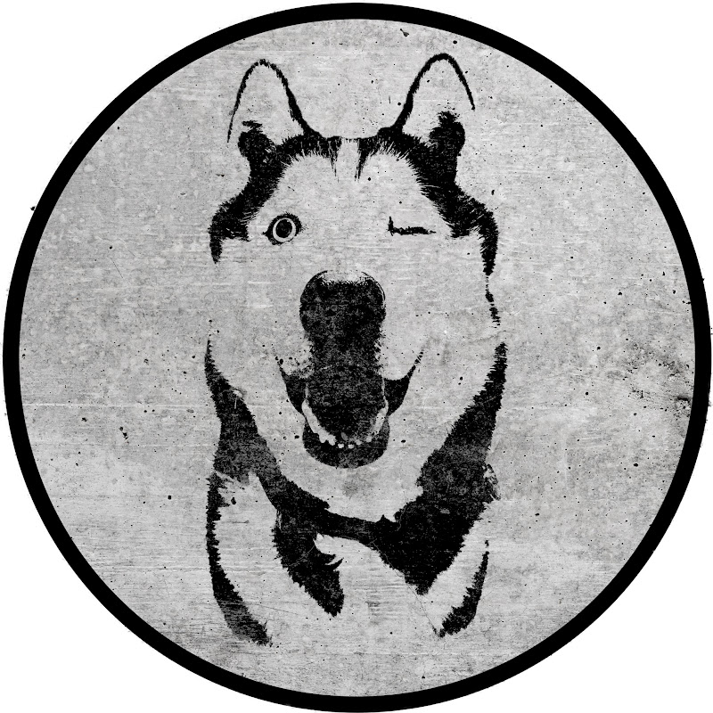 Derp Wolf Studios