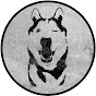 Derp Wolf Studios