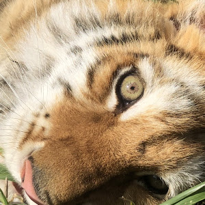 UCQCBkgyavrmKscMDSUx40YA YouTube channel image