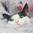 @user-tm3wt7jy6t
