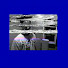 fIYKc8kAjpA-channel-avatar-by.hassan
