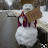 @christophermayes7810 Avatar