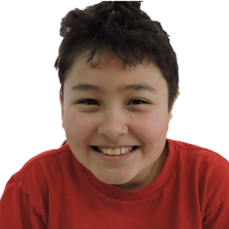 Shawn Toy Car Channel
