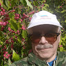 Автор
