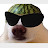 @Pierronimo8764's avatar