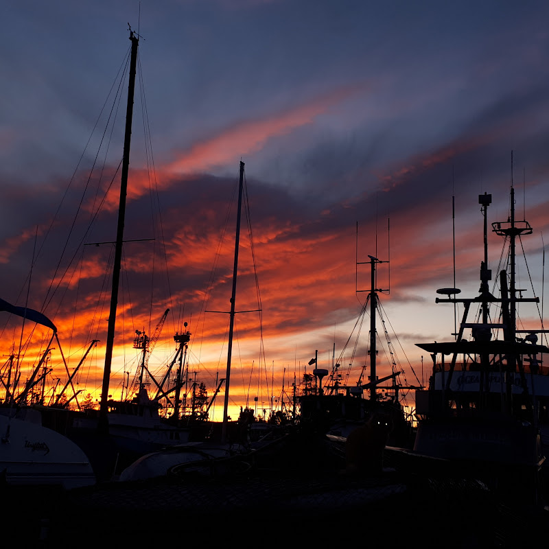 boatingandliveaboardfunwit8027