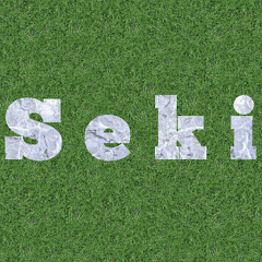 Seki channel logo