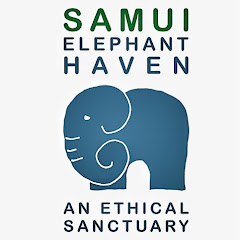 Samui Elephant Haven Avatar